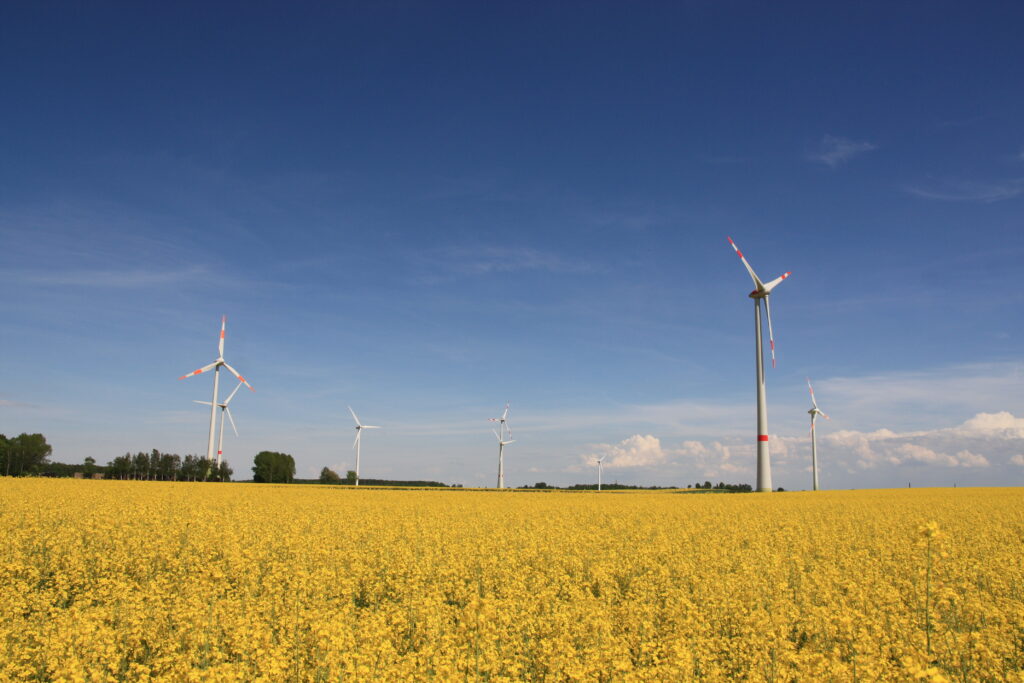 windenergie, windkraft, windpark, erlau, enercon, raps